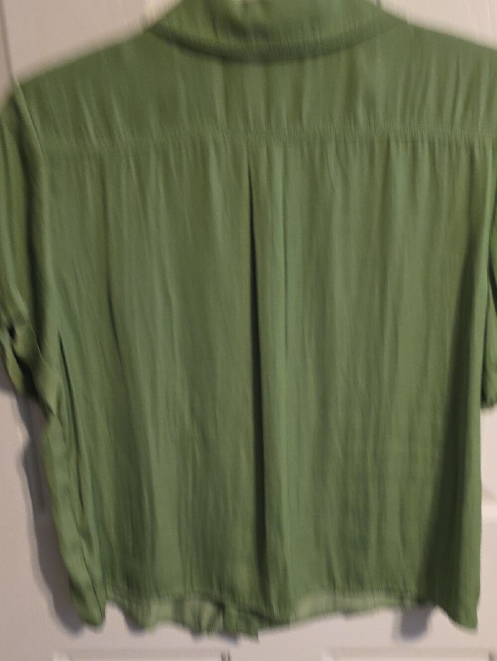 Rachel Zoe Sage Green Short Sleeve Button-Up Blouse - Picture 7 of 7